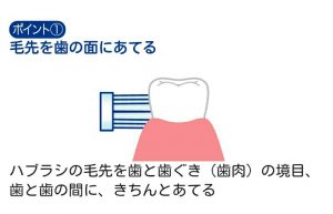 歯磨き指導の画像