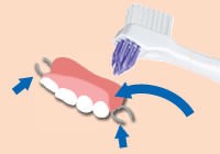 義歯ブラシの使用方法